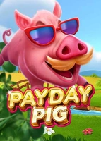 Payday Pig