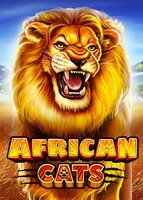 African Cats