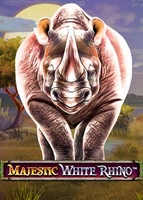 Majestic White Rhino