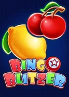 Bingo Blitzer