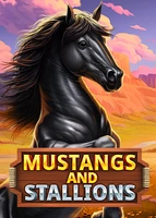 Mustang and Stallions