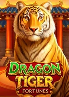 Dragon Tiger Fortune