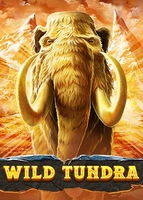 Wild Tundra