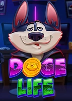 Doge Life