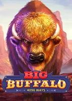 Big Buffalo
