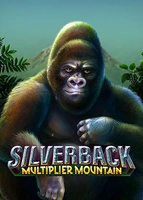 Silverback Multiplier Mountain