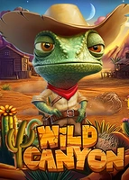 Wild Canyon
