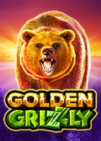 Golden Grizzly