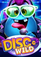 Disco Wild