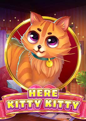 Here Kitty Kitty