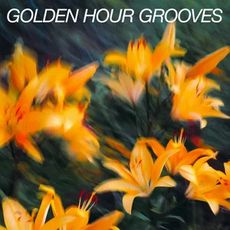 dailyplaylists-free-disco-this-feels-right-2026.jpeg