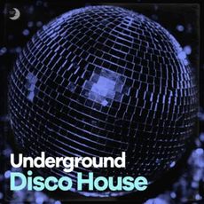 dailyplaylists-free-disco-midnight-city-2026.jpeg