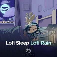 dailyplaylists-free-lofi-new_stuff_records-2026.jpeg