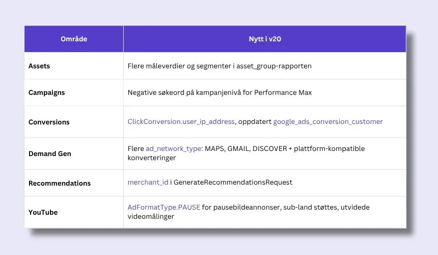 Google Ads API v20
