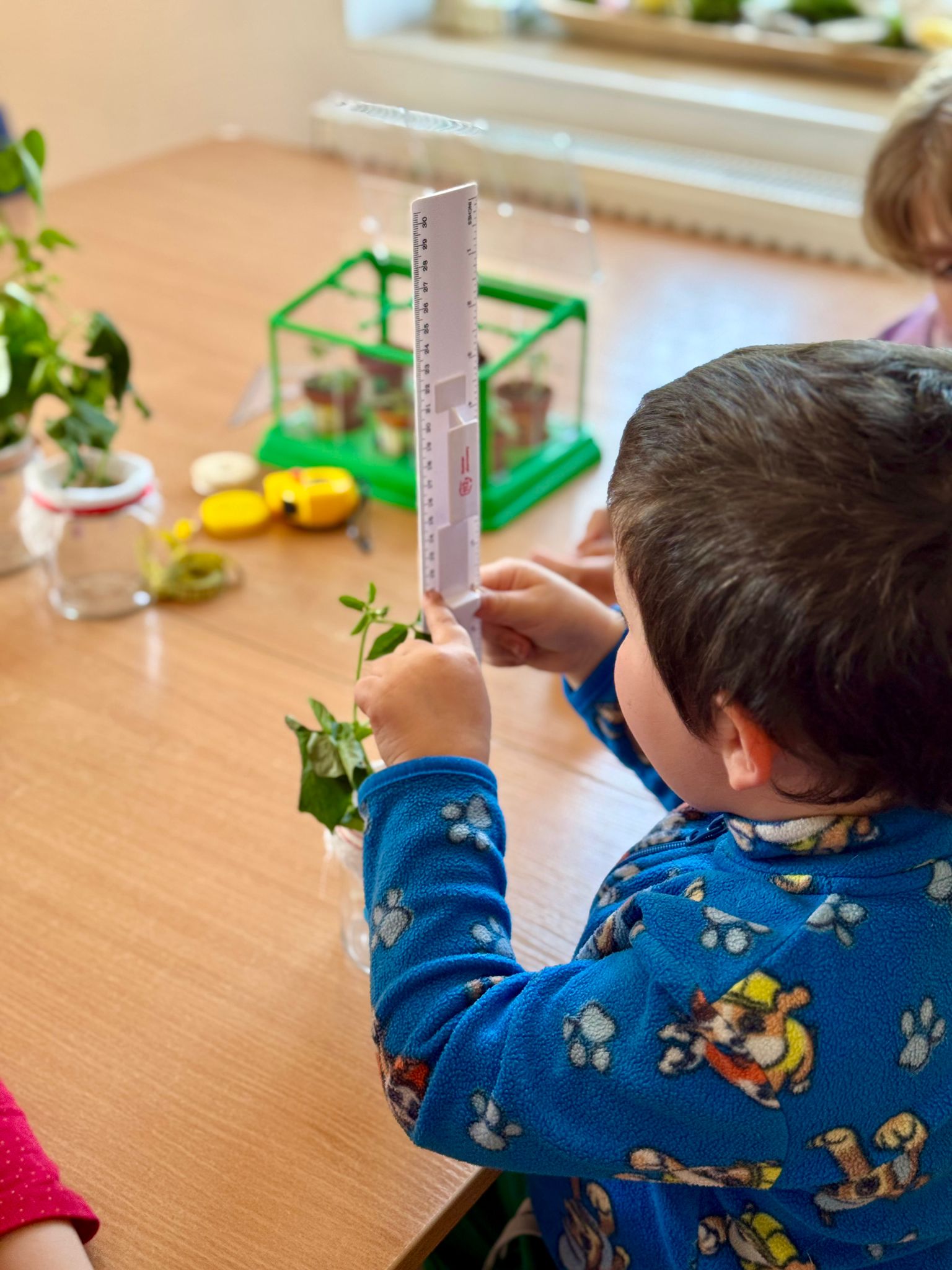 Podsumowanie IV edycji programu grantowego „Rosnę z matematyką” | Chłopiec z miarą.jpg