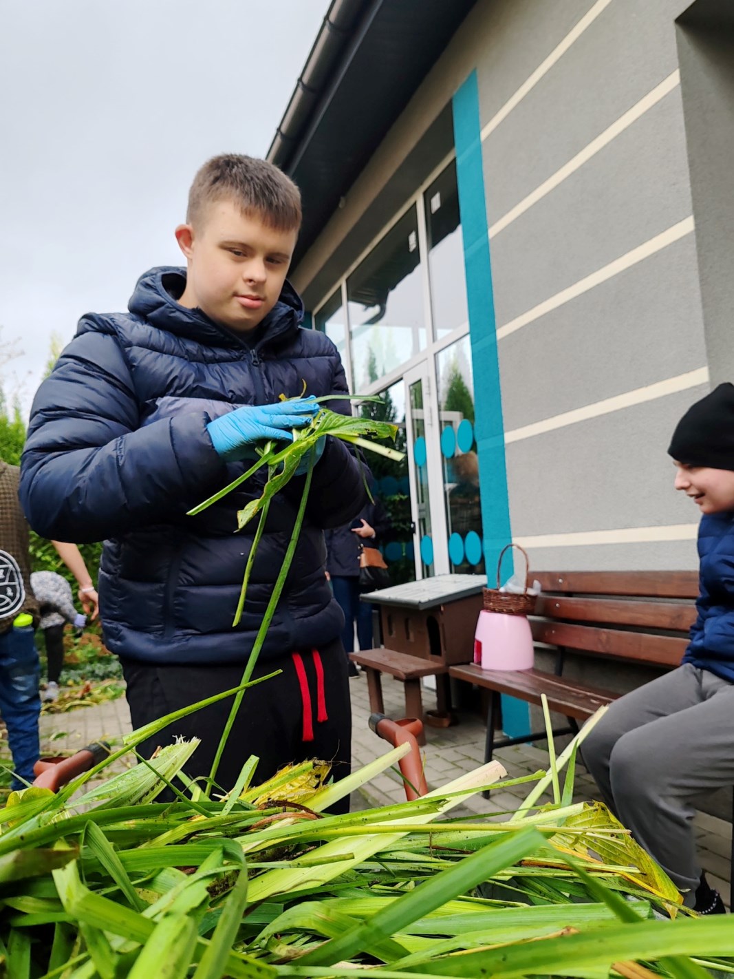 Jesienne prace w ogrodzie | Uczeń rzuca na taczki trawę.jpg