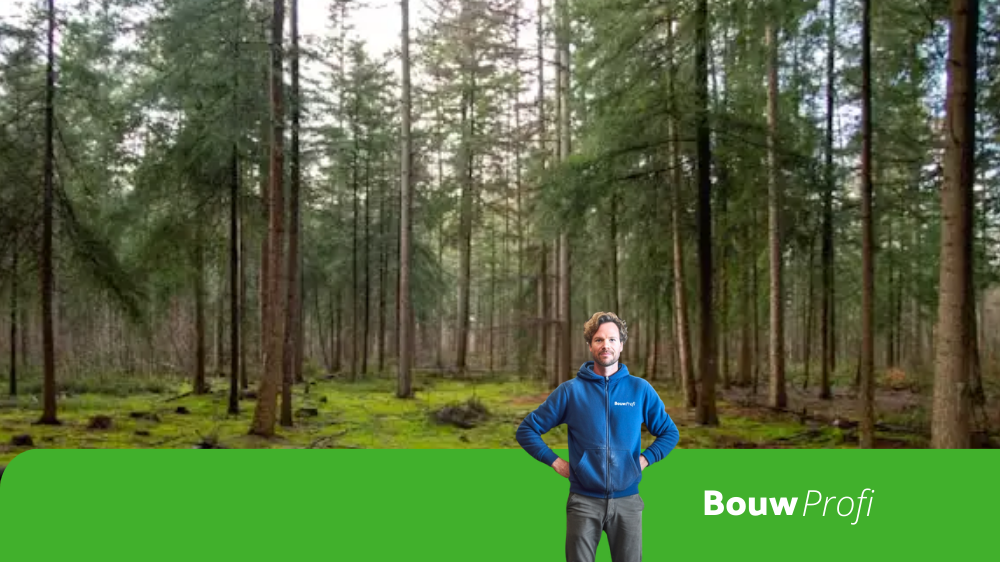verschil FSC en PEFC