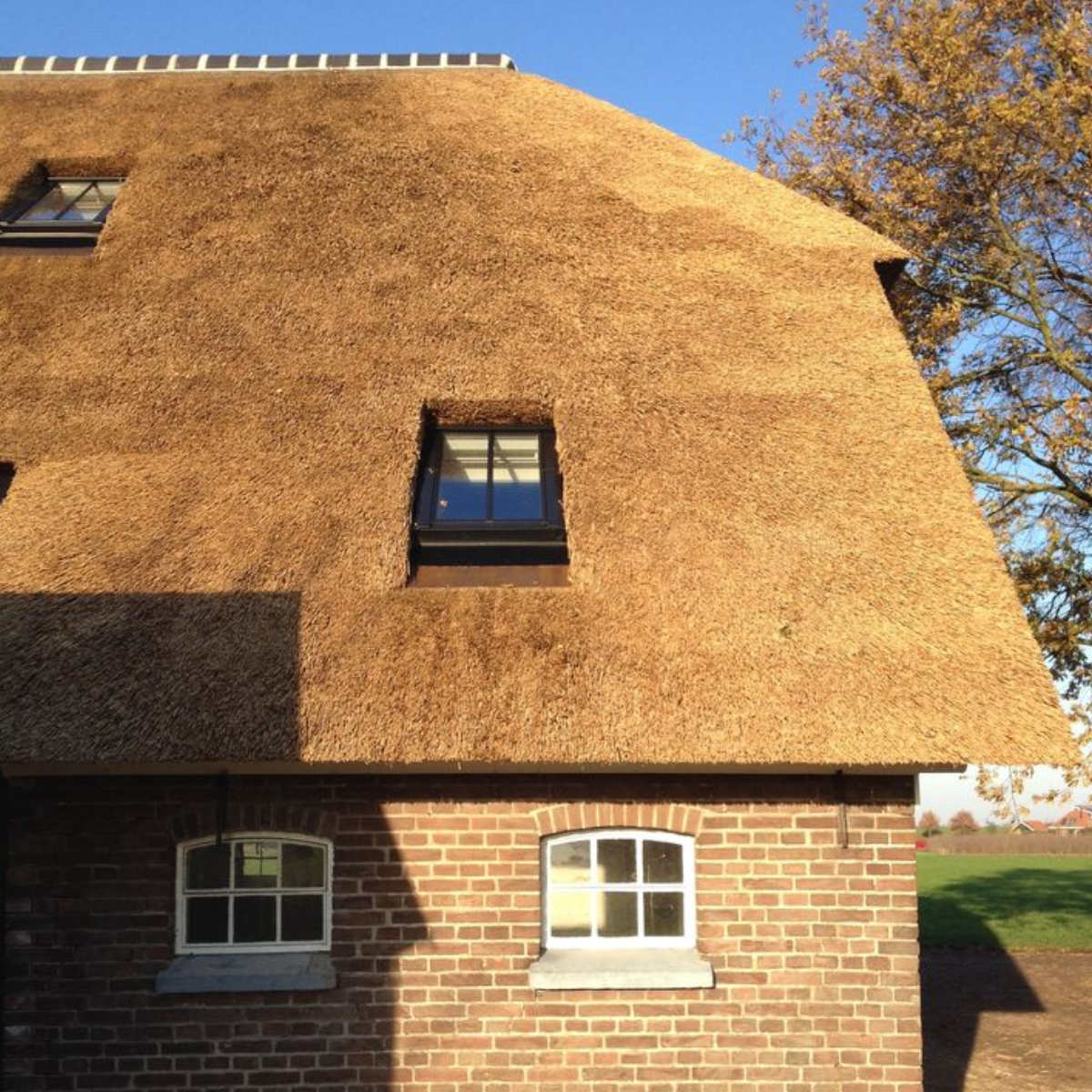 VELUX Classico venster in rieten dak