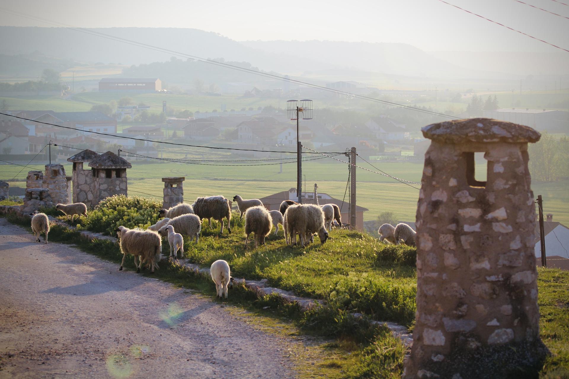 paisaje-castilla