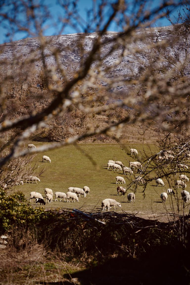 paisaje-castilla