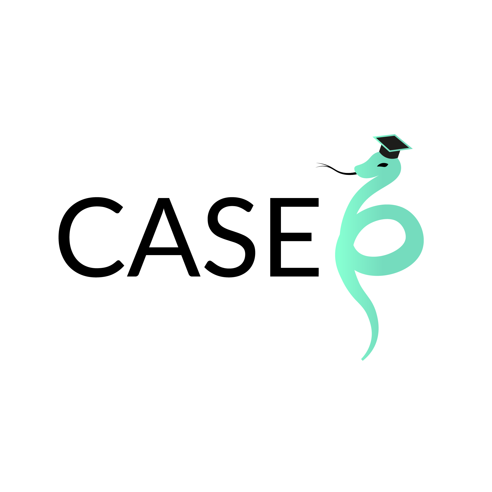CASEP