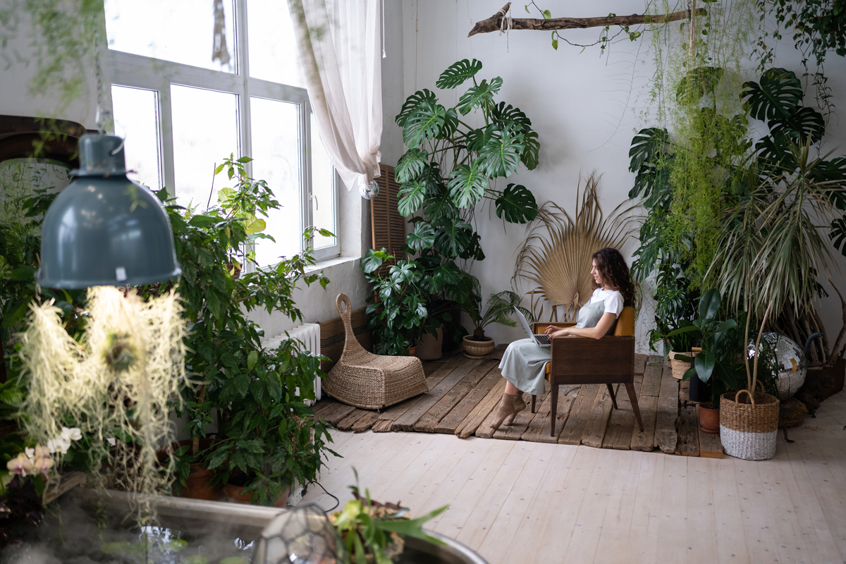 woman-learning-about-botany-online-while-sitting-i-2023-11-27-05-25-34-utc.jpg