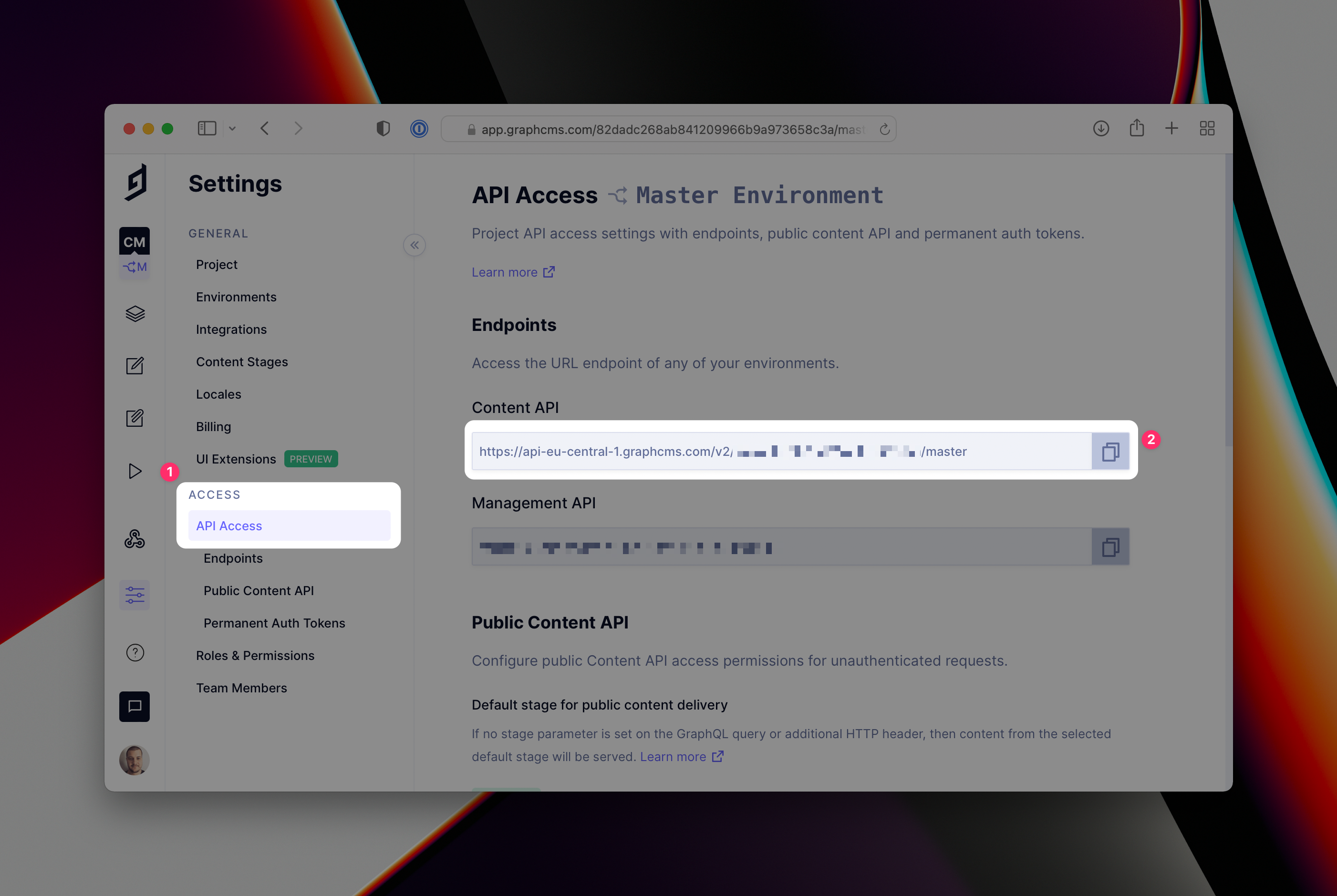 Project API Access Settings