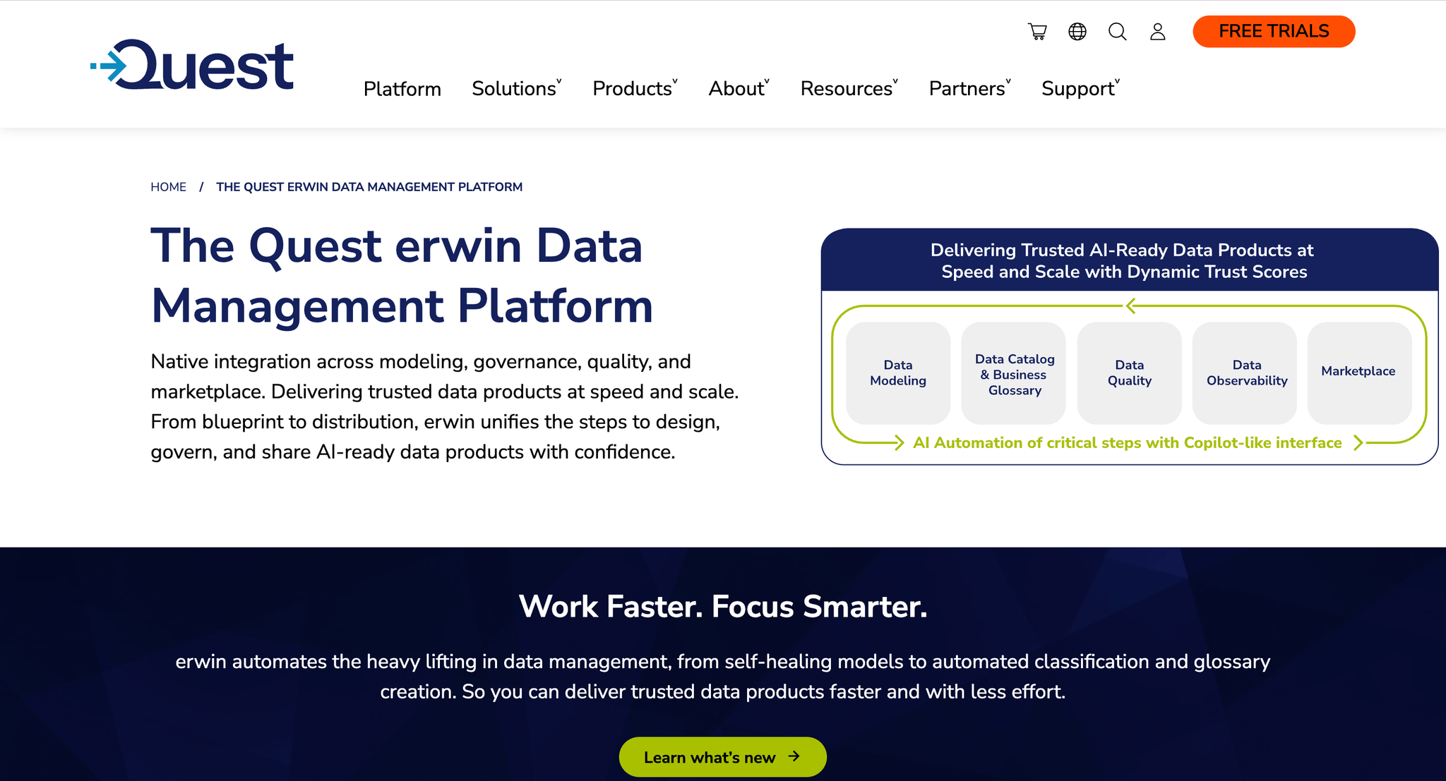 Enterprise metadata management tool - erwin.png