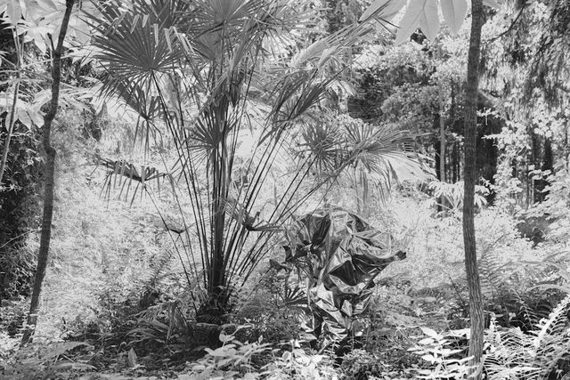 cmlgnbbfw8rvp08w1ev1ffk3o