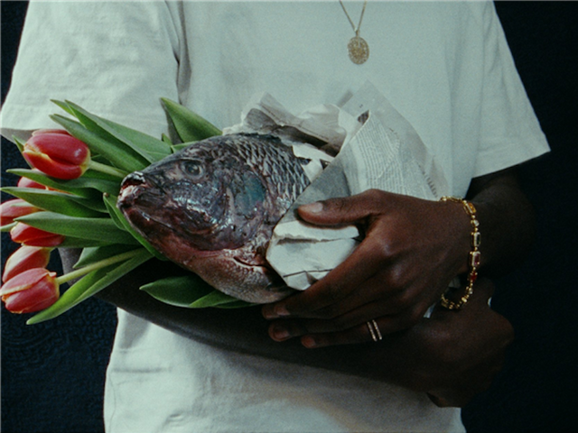 cmn68rg080tb906waapl0z5zr