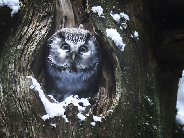 cmojqsi6yawgm08w6v26n3i1u