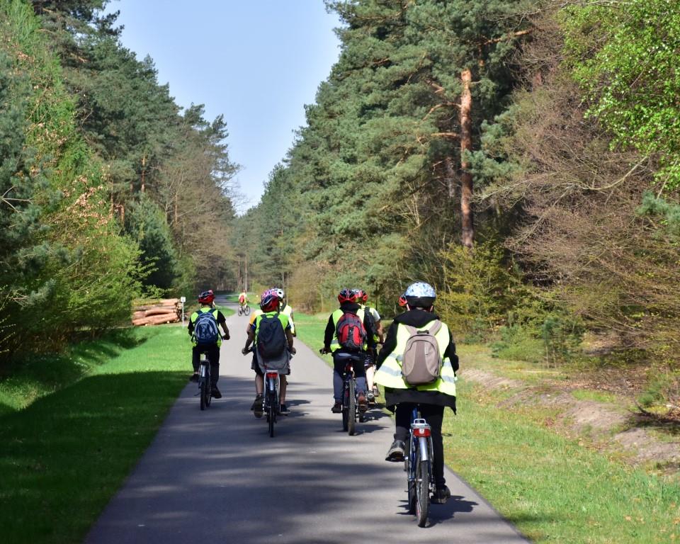 Na rowerach po okolicy | Kolarze na rowerach widziani z tyłu jadą asfaltową drogą przez las.JPG