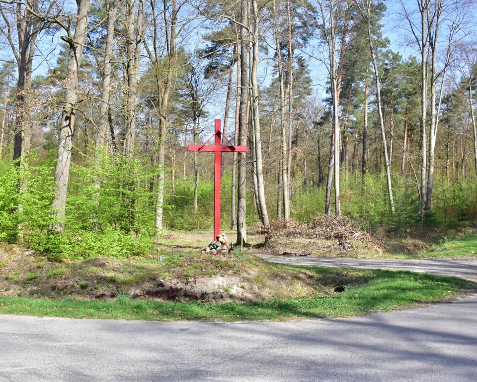 Na rowerach po okolicy | Czerwony, wysoki krzyż ustawiony przy drodze na skraju lasu.JPG