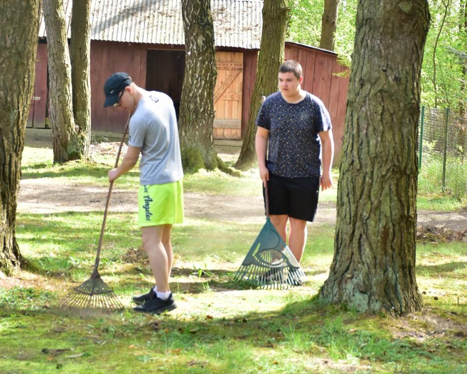 Na rowerach po okolicy | Dwóch chłopców z grabiami stoi między drzewami, jeden z nich grabi trawę. W tle zabudowania.JPG