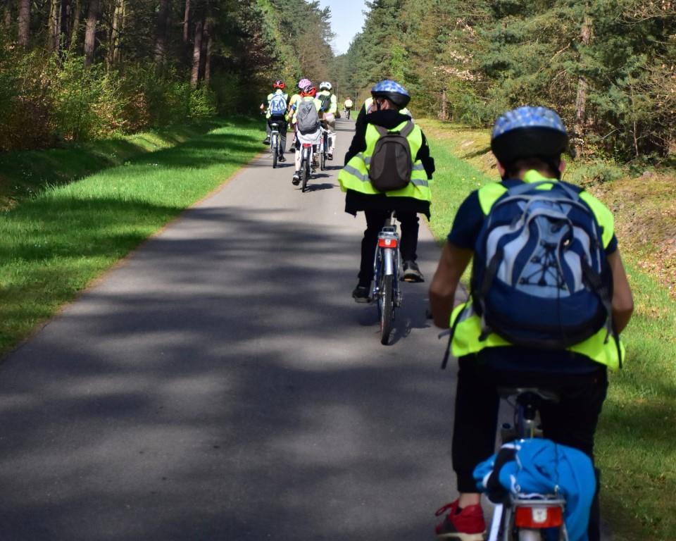 Na rowerach po okolicy | Grupka kolarzy w kaskach widziana od tyłu jedzie na rowerach asffaltową drogą, po bokach drogi las.JPG