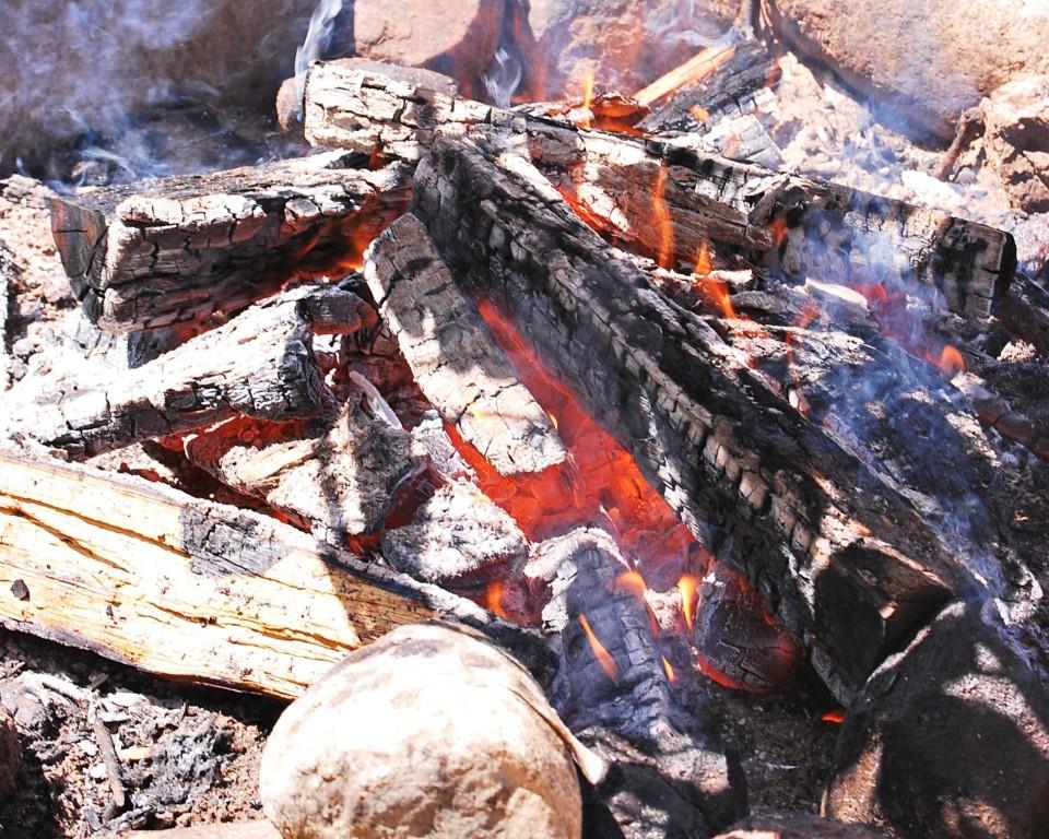 Spływ kajakowy | 6.JPG