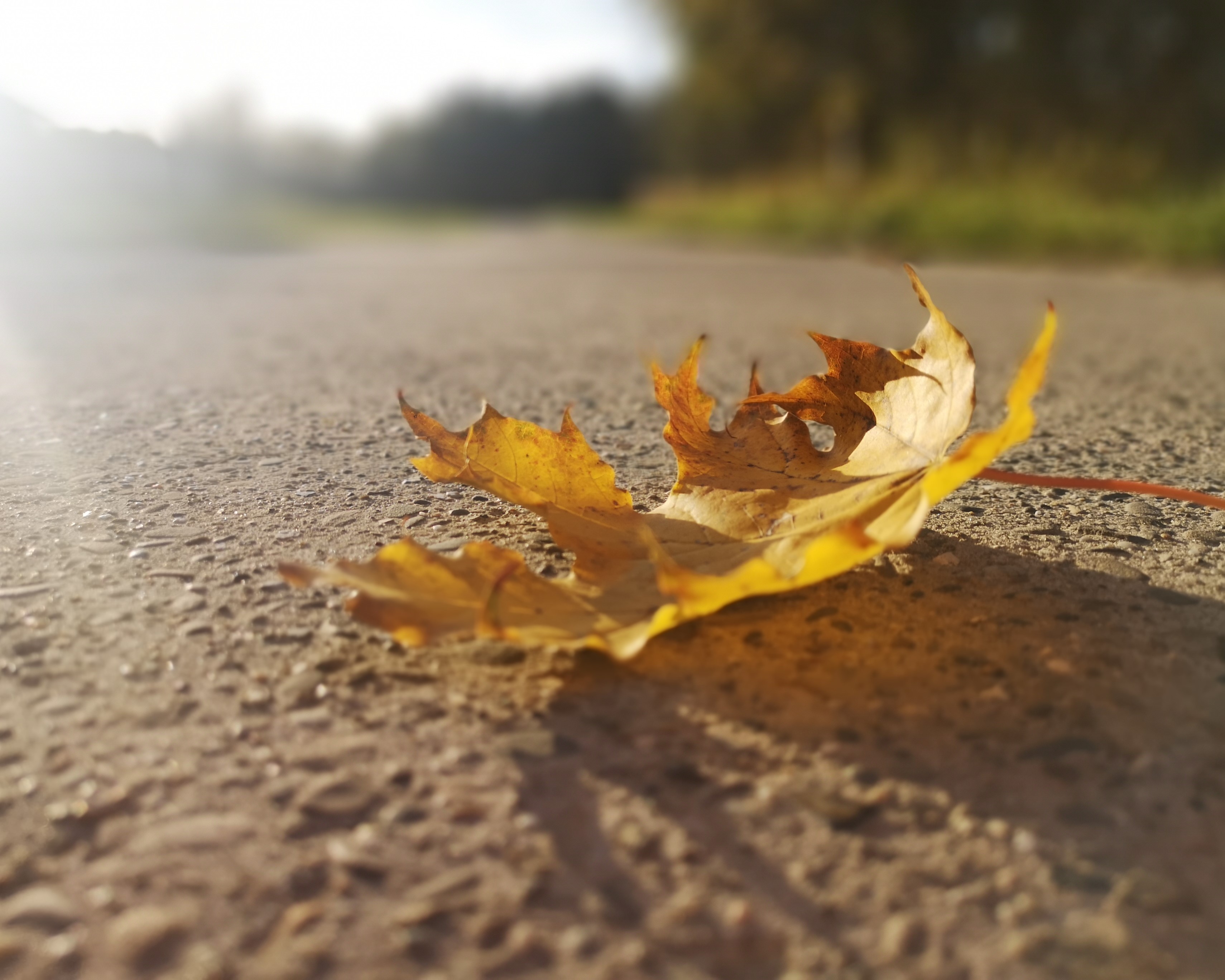 Dzień Krajobrazu w naszym ośrodku