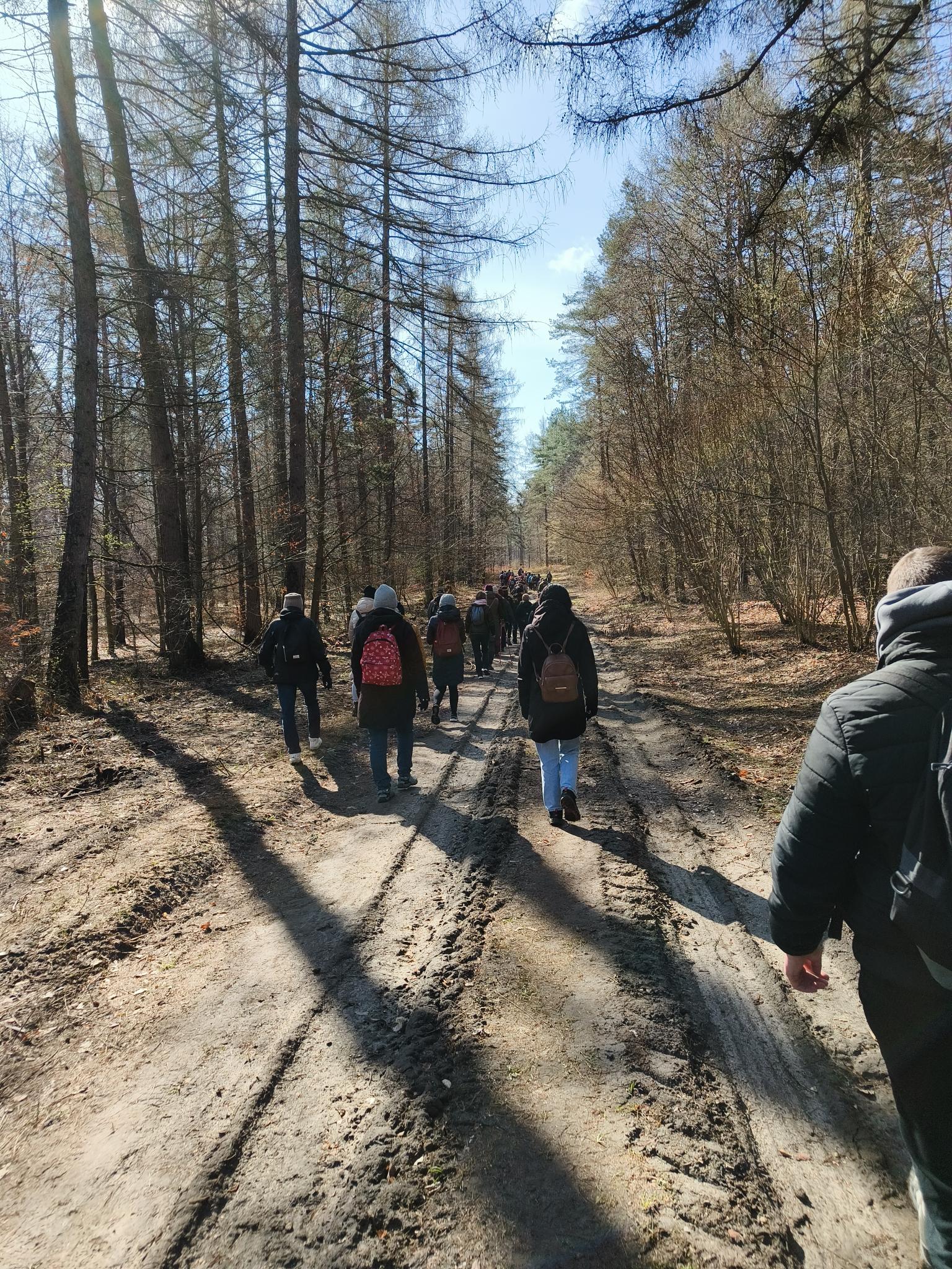 Roztoczańska Droga Krzyżowa | Leśną drogą wśród wysokiego drzewostanu idą uczestnicy drogi krzyżowej..jpg