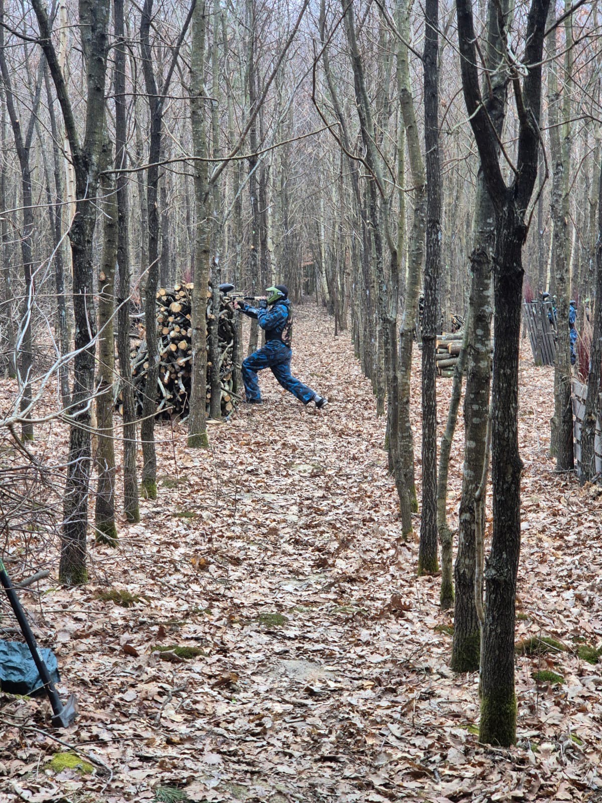 PAINTBALL | W lesie, wśród posadzonych w rzędach drzew widać ułożoną ściankę z drewna. Za nią ukryty jest wychowanek celujący z broni do przeciwników znajdujących sie naprzeciw..jpeg