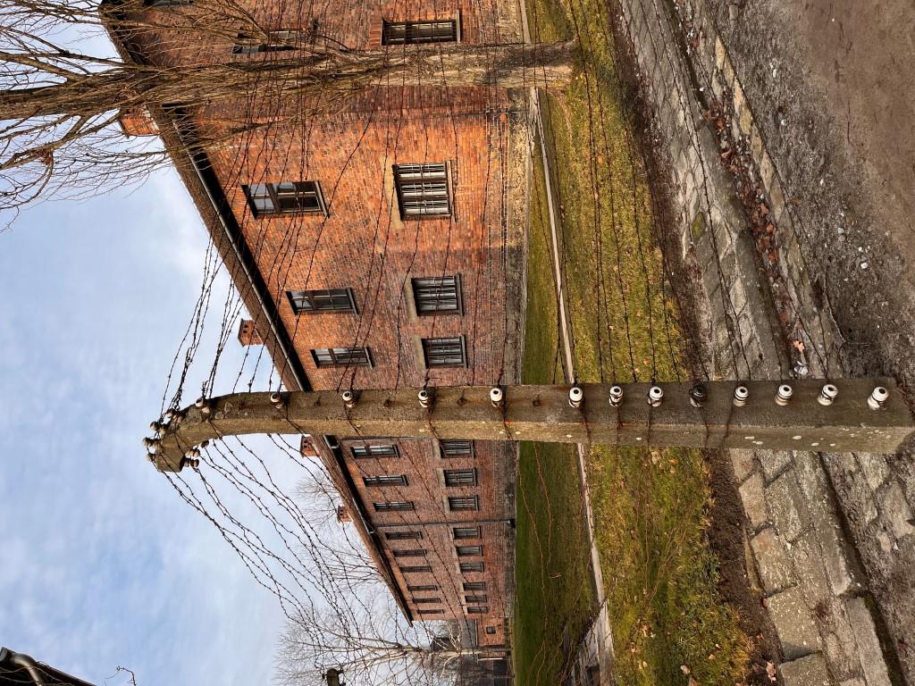 „Wyjście z kalsą” | IMG_2293.jpeg