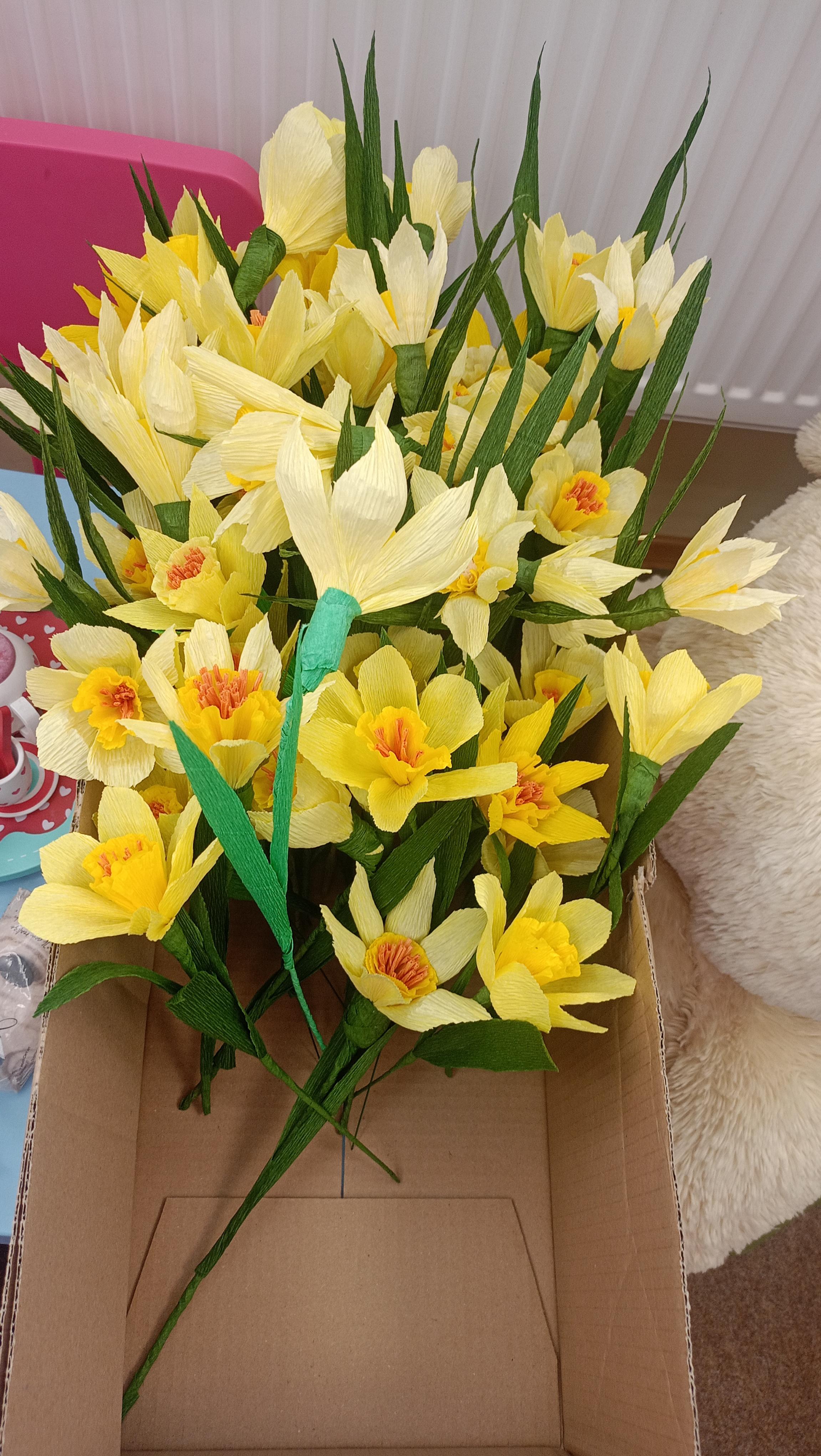 Warsztaty w MBP | pro-DyQWJRUo.jpeg