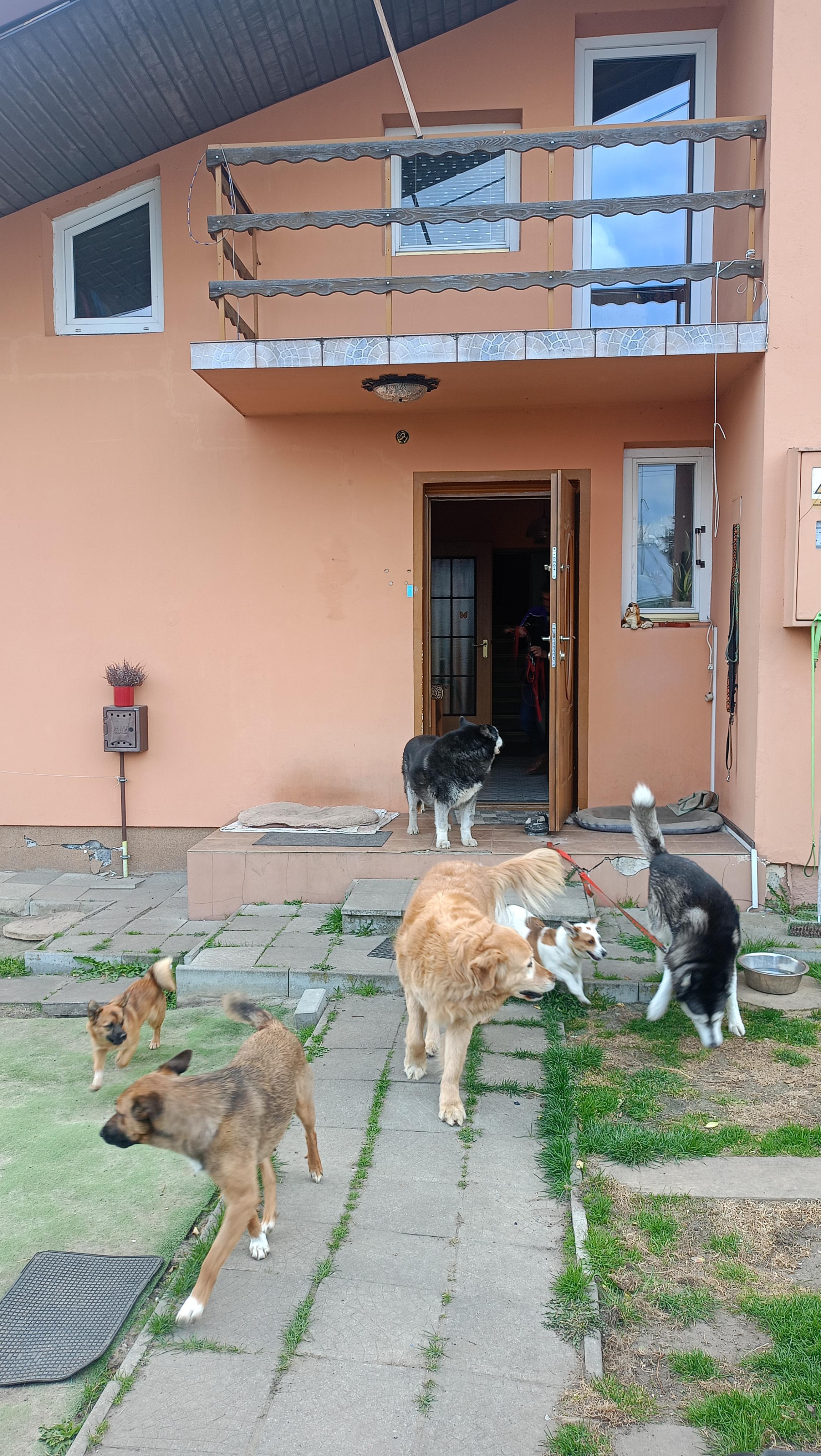 Współpraca ze Stowarzyszeniem „Wystarczy chcieć” | pro-n8aqSWrF.jpeg