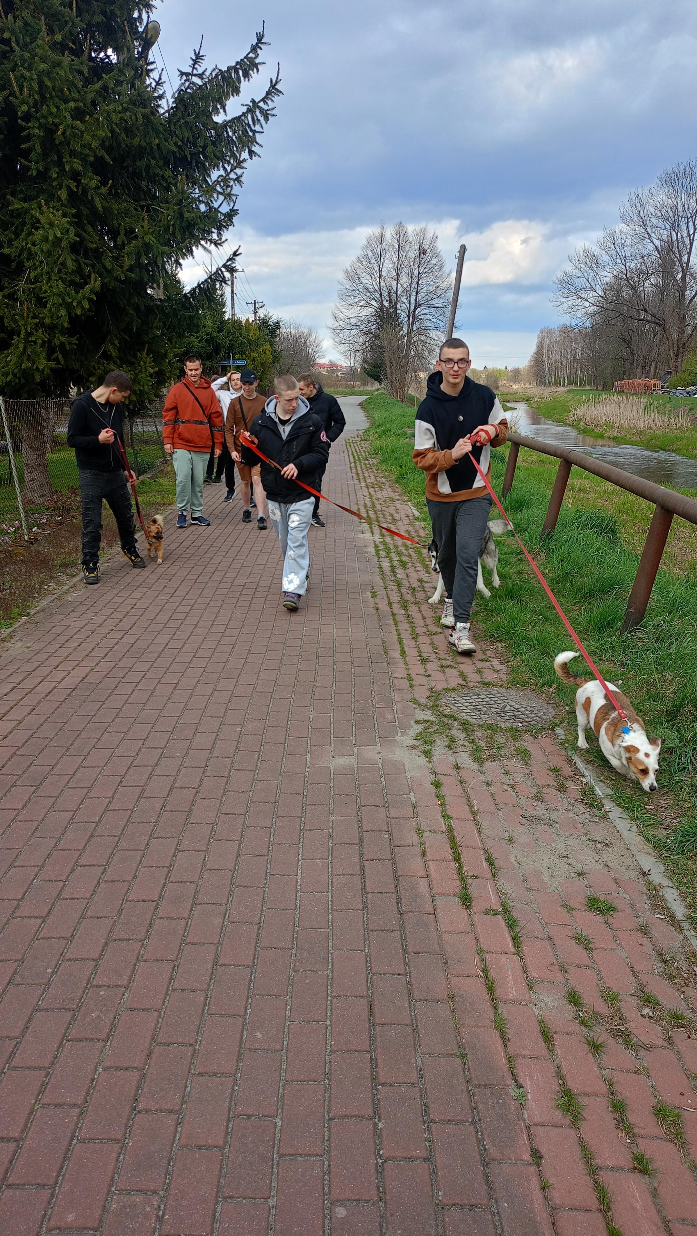 Współpraca ze Stowarzyszeniem „Wystarczy chcieć” | pro-vNclDlPl.jpeg