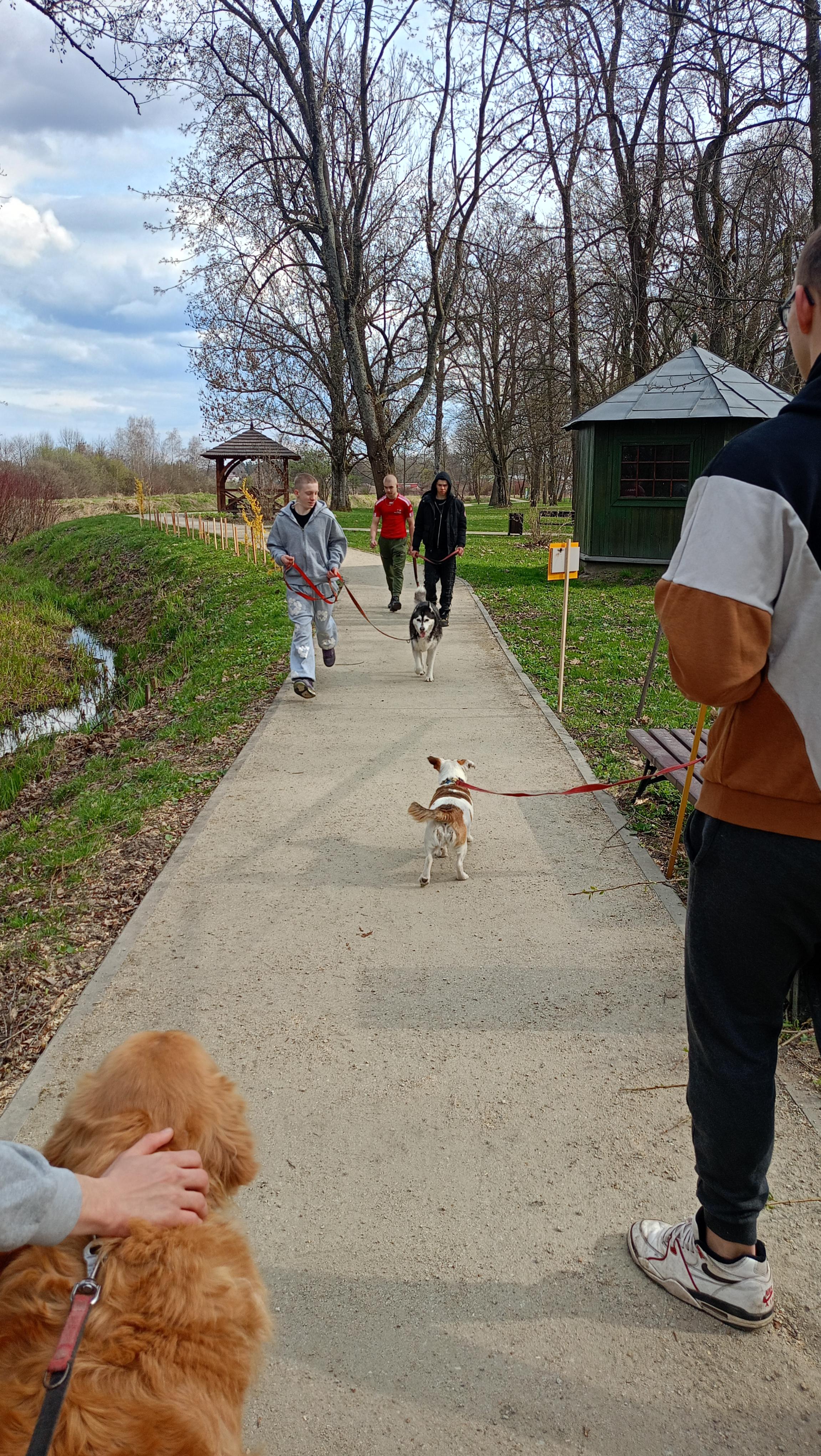 Współpraca ze Stowarzyszeniem „Wystarczy chcieć” | pro-YiND4xnR.jpeg