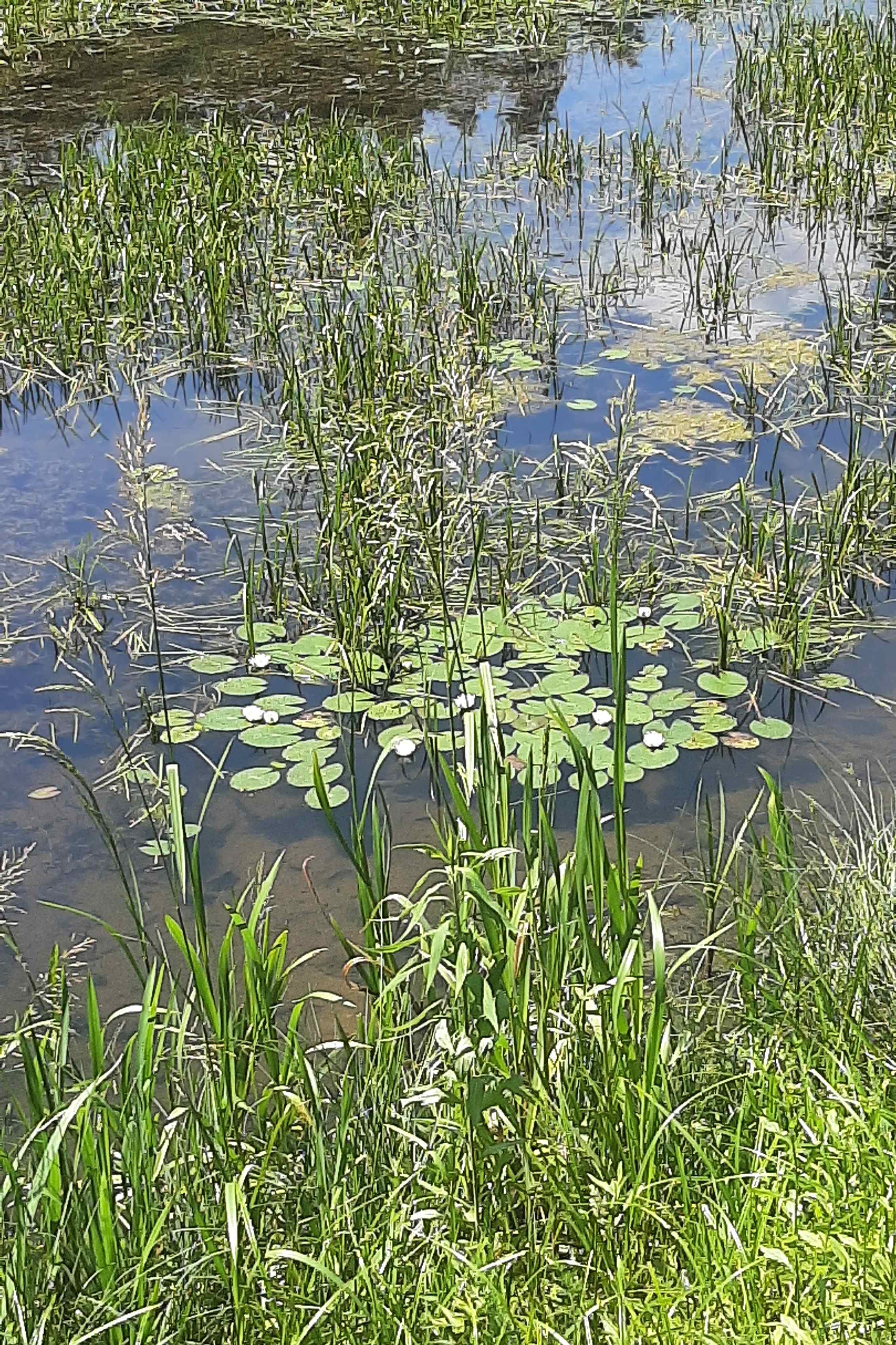 Survival | 20260624_123414.jpg