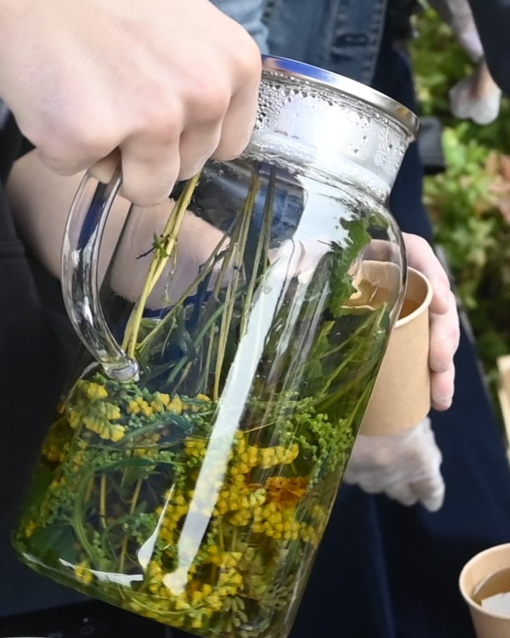 Nasz udział w EKOfestiwalu „Wspólnie dla Klimatu”  | _DSC24061.jpg