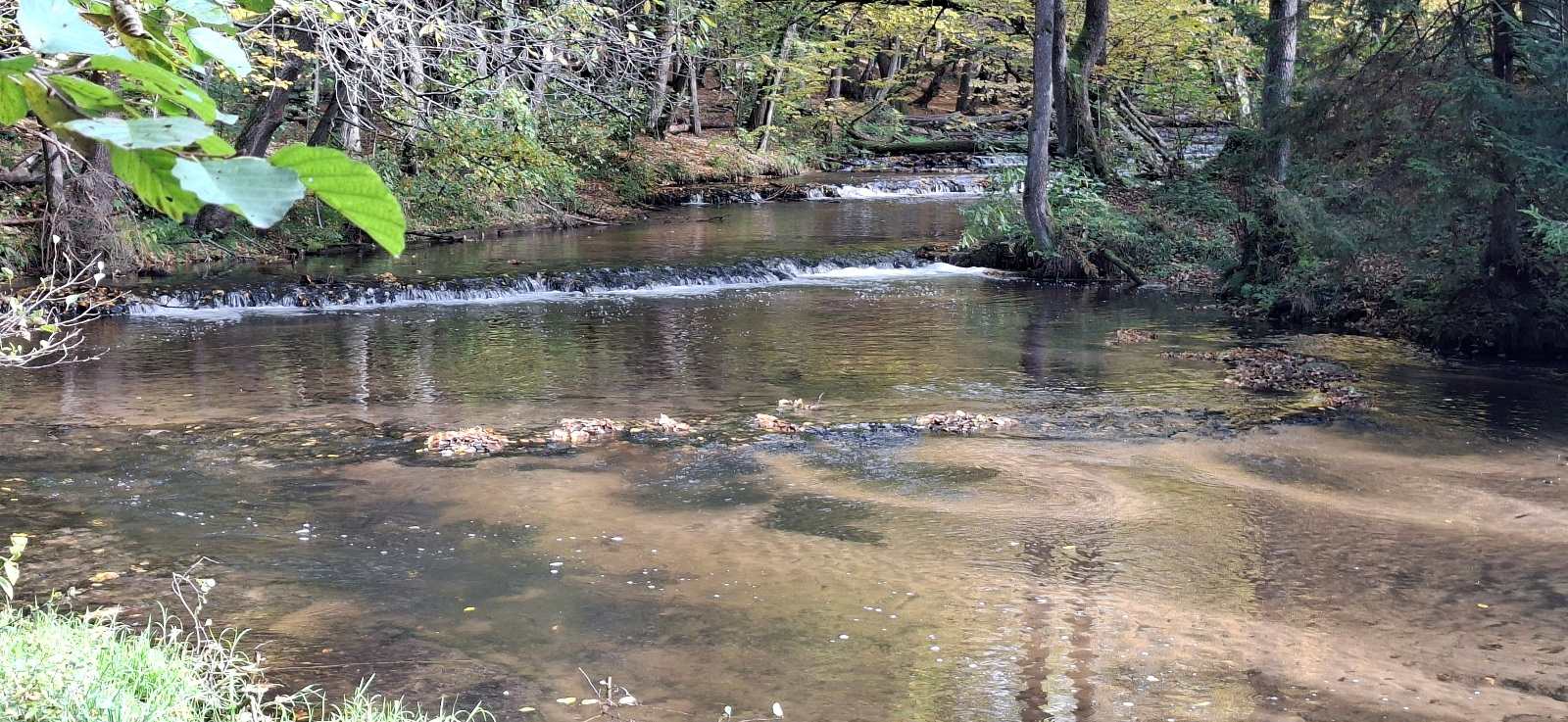 Wycieczka wychowanków gr. III Młodzieżowego Ośrodka Wychowawczego do rezerwatu przyrody Nad Tanwią. | 20261010_130933.jpg