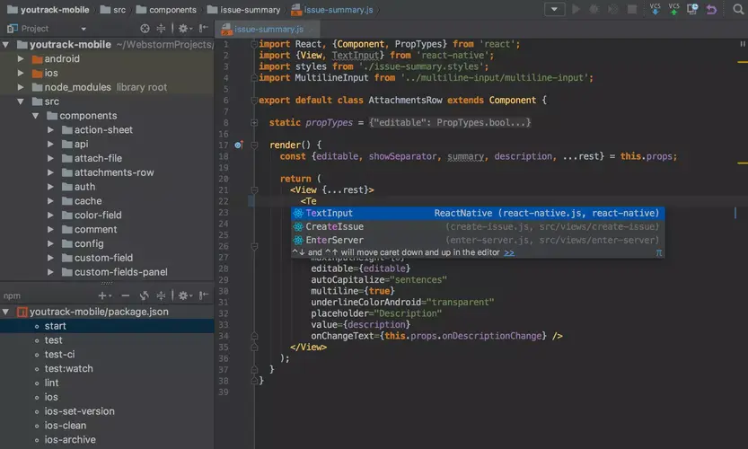 webstorm-screen.webp