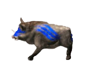 War Boar