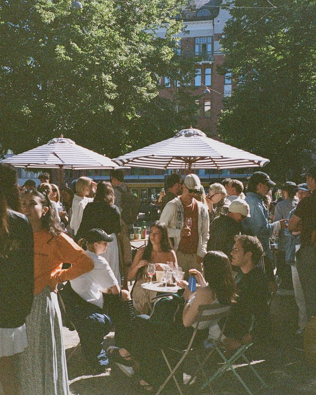 Wine Lippakiska at Karhupuisto